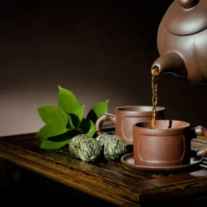 Electric Gooseneck Kettle